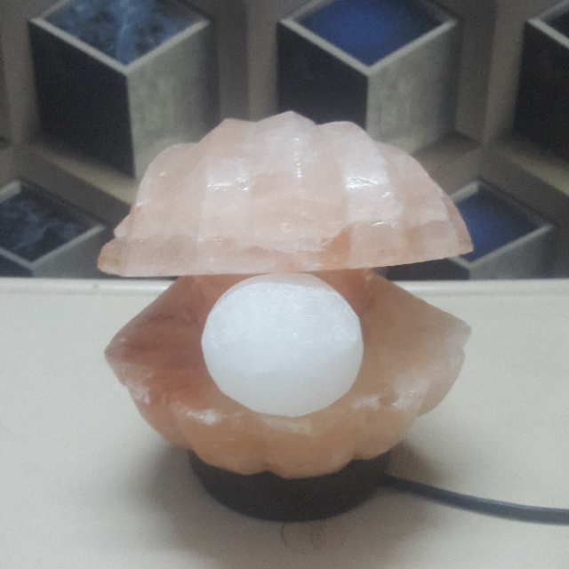 himalayan clam with pearl lamp